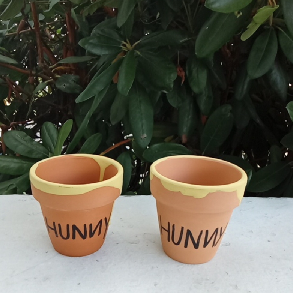 Hunny Terracotta Pots with Yellow Rim NWOT